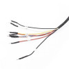 КОД:MMS-FLX2.51 / Кабел за Bench-връзка от Flex програматор към ECU EDC17C69 / FLX2.51 от Magic Motor Sport категория Чиптунинг от DalkoMotors.com