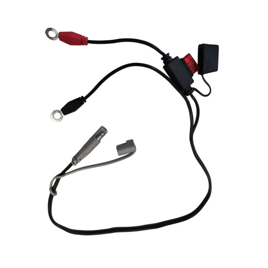 Инструменти 40013 - Кабел за зареждане на акумулатори 12V (em40013) на марката Electro-Mem Srl ще намерите в DalkoMotors.com КОД:em40013 / 40013 - Кабел за зареждане на акумулатори 12V / 19382 от Electro-Mem Srl категория Зарядни устройства от DalkoMotors.com