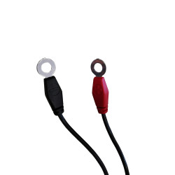 Инструменти 40013 - Кабел за зареждане на акумулатори 12V (em40013) на марката Electro-Mem Srl ще намерите в DalkoMotors.com КОД:em40013 / 40013 - Кабел за зареждане на акумулатори 12V / 19382 от Electro-Mem Srl категория Зарядни устройства от DalkoMotors.com