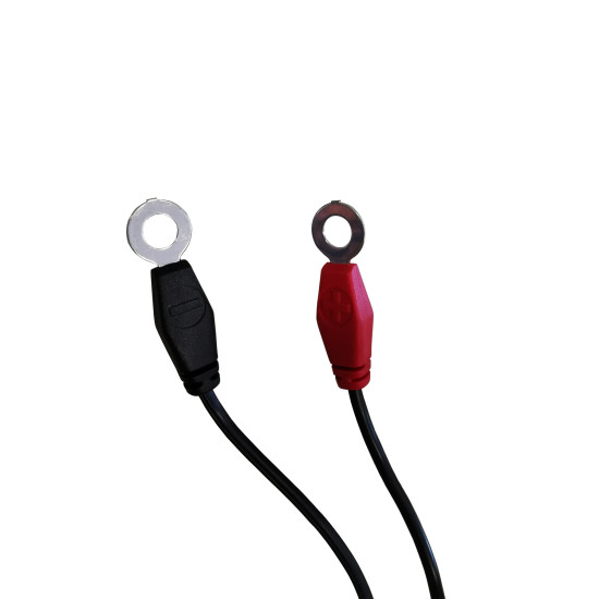 Инструменти 40013 - Кабел за зареждане на акумулатори 12V (em40013) на марката Electro-Mem Srl ще намерите в DalkoMotors.com КОД:em40013 / 40013 - Кабел за зареждане на акумулатори 12V / 19382 от Electro-Mem Srl категория Зарядни устройства от DalkoMotors.com