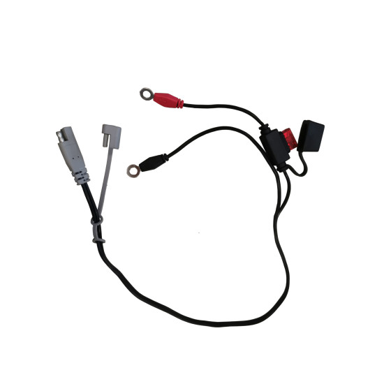 Инструменти 40013 - Кабел за зареждане на акумулатори 12V (em40013) на марката Electro-Mem Srl ще намерите в DalkoMotors.com КОД:em40013 / 40013 - Кабел за зареждане на акумулатори 12V / 19382 от Electro-Mem Srl категория Зарядни устройства от DalkoMotors.com